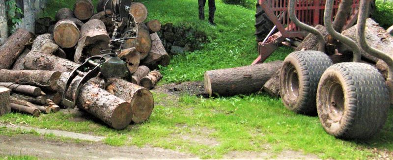 ObrazWIOSNA 2O13 052