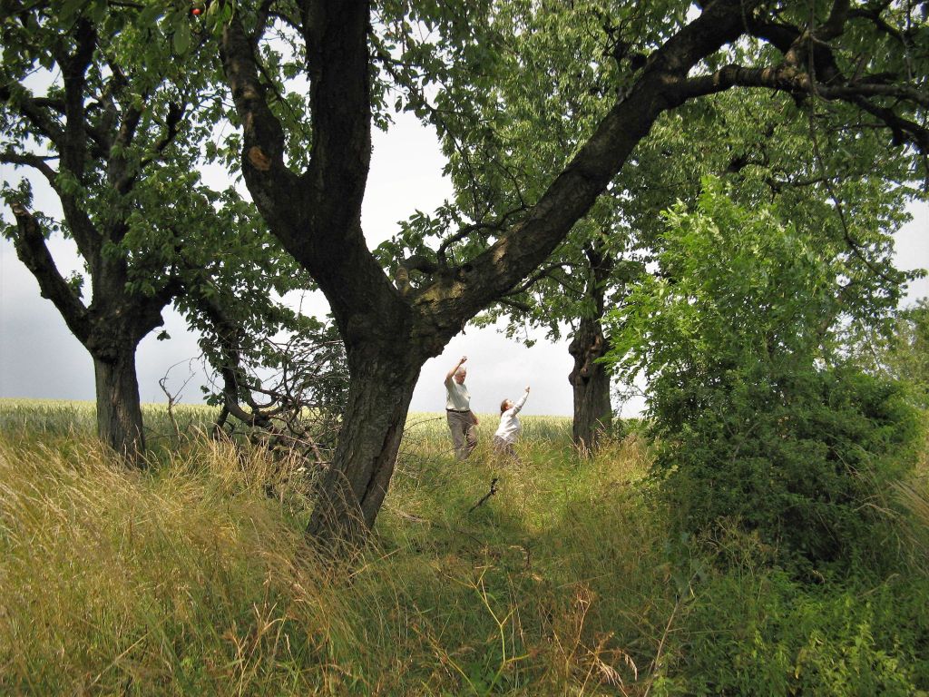 ,wiosna 2012,ferie,adam 046