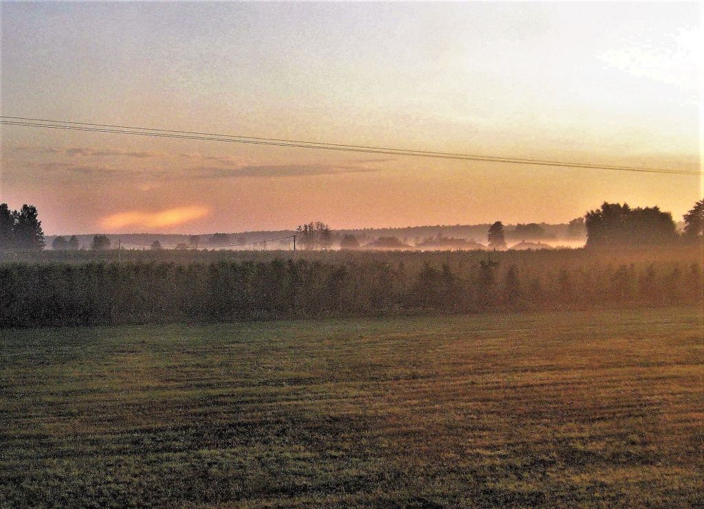 Pławna lipiec 2011 106